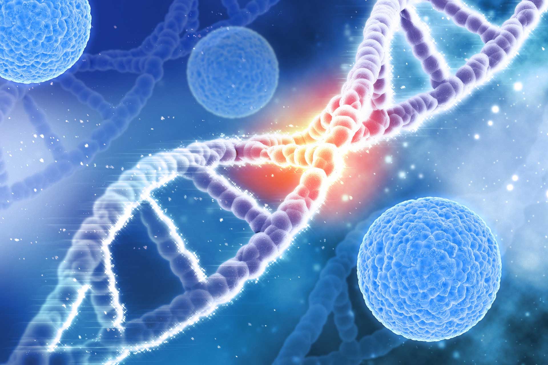 Why Compliance Matters in Peptide Research