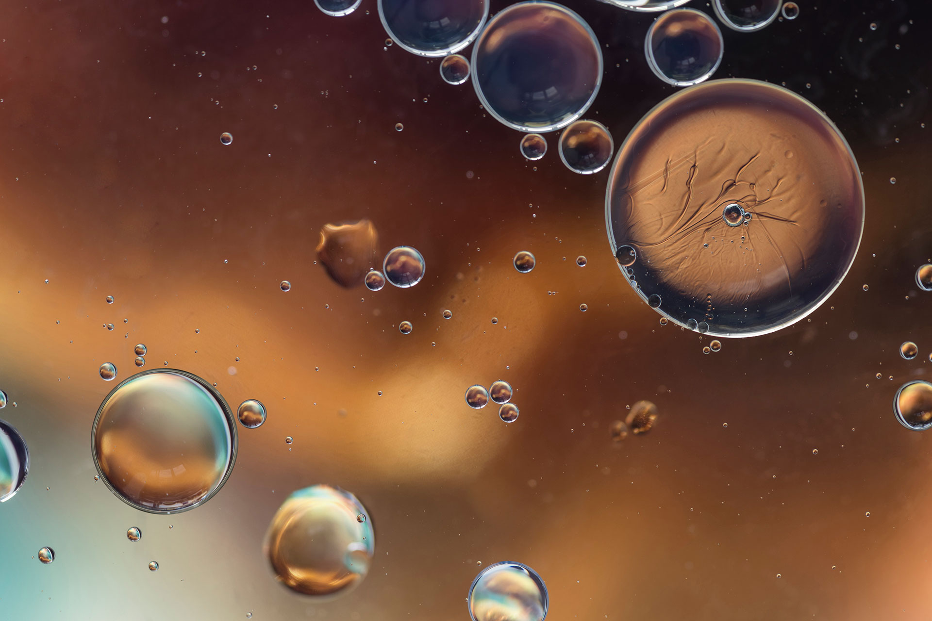 The Role of Peptides in Scientific Advancement